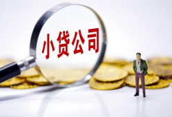 西安17个人借贷-西安17小额贷款官网-西安17身份证贷款
